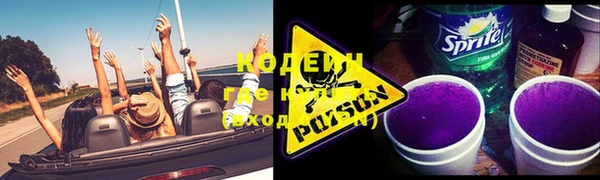 твердый Бородино