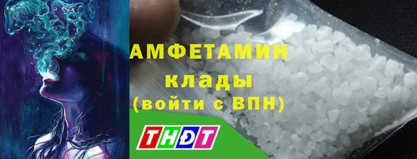 твердый Бородино