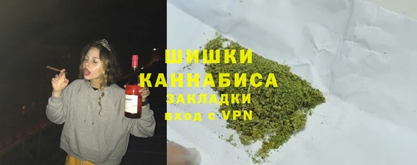 твердый Бородино