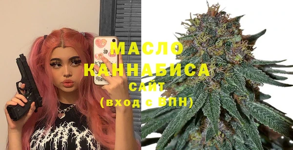 твердый Бородино