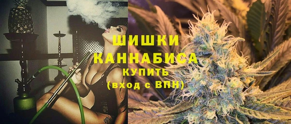 твердый Бородино