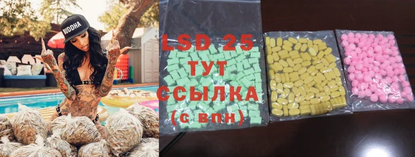 твердый Бородино