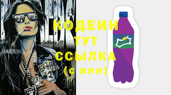 твердый Бородино