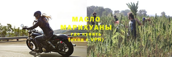 твердый Бородино